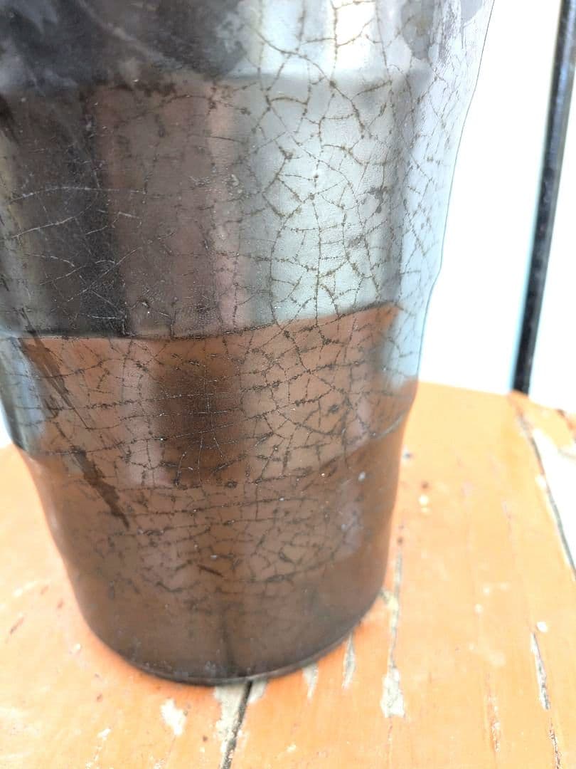 斑入りが綺麗な　斑入り　クワズイモ　アロカシア陶器鉢