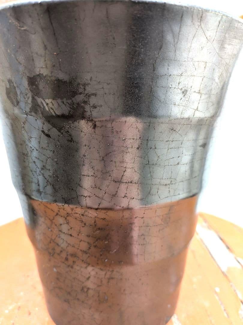 斑入りが綺麗な　斑入り　クワズイモ　アロカシア陶器鉢