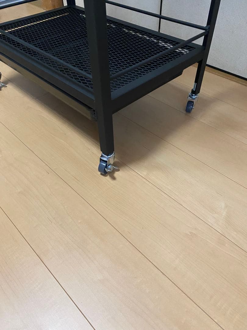 アイアンシェルフ　植物棚　アガベ　多肉植物　ボタニカルシェルフ　ダクトレールバー