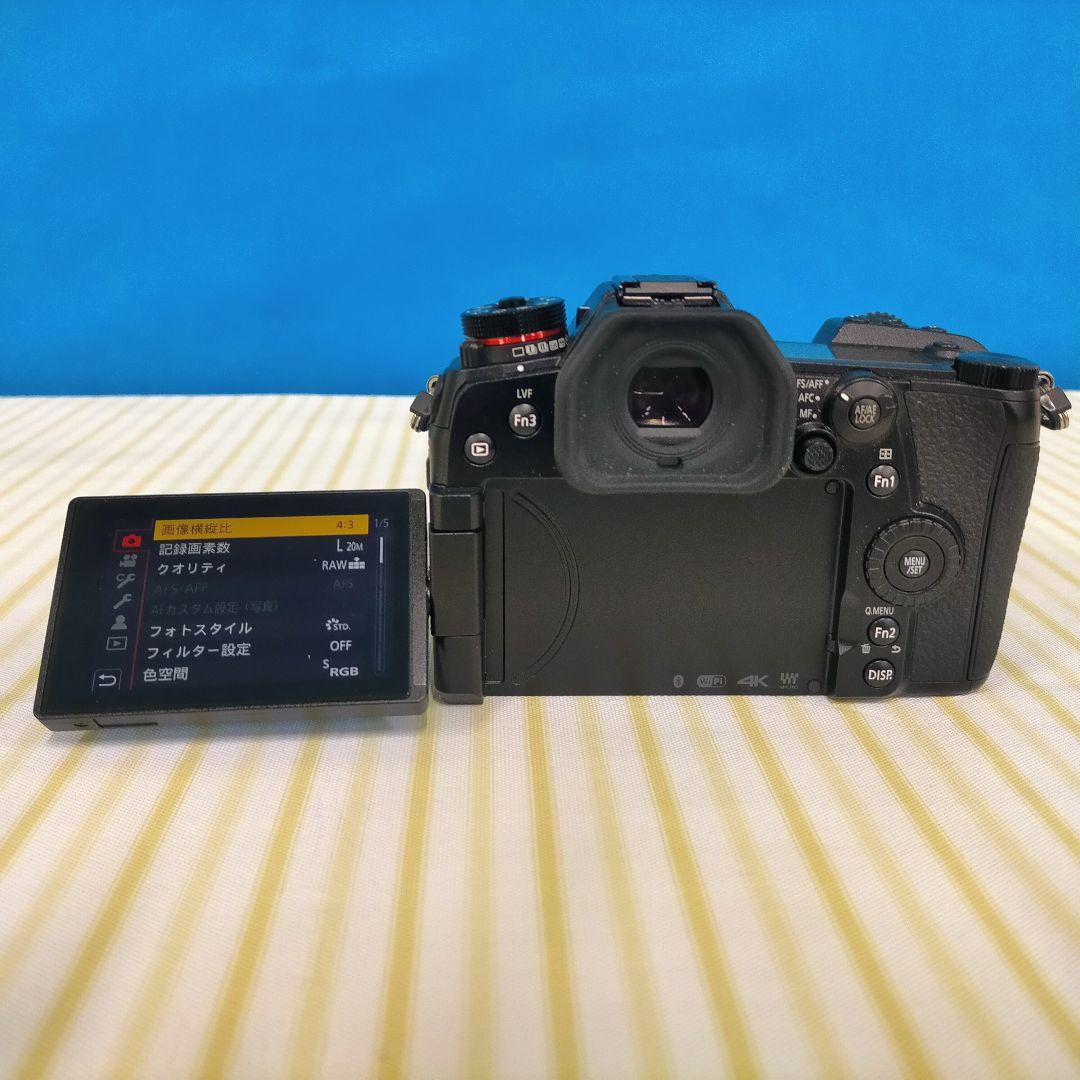 【再掲】ミラーレス一眼 LUMIX G9 PRO 本体のみ