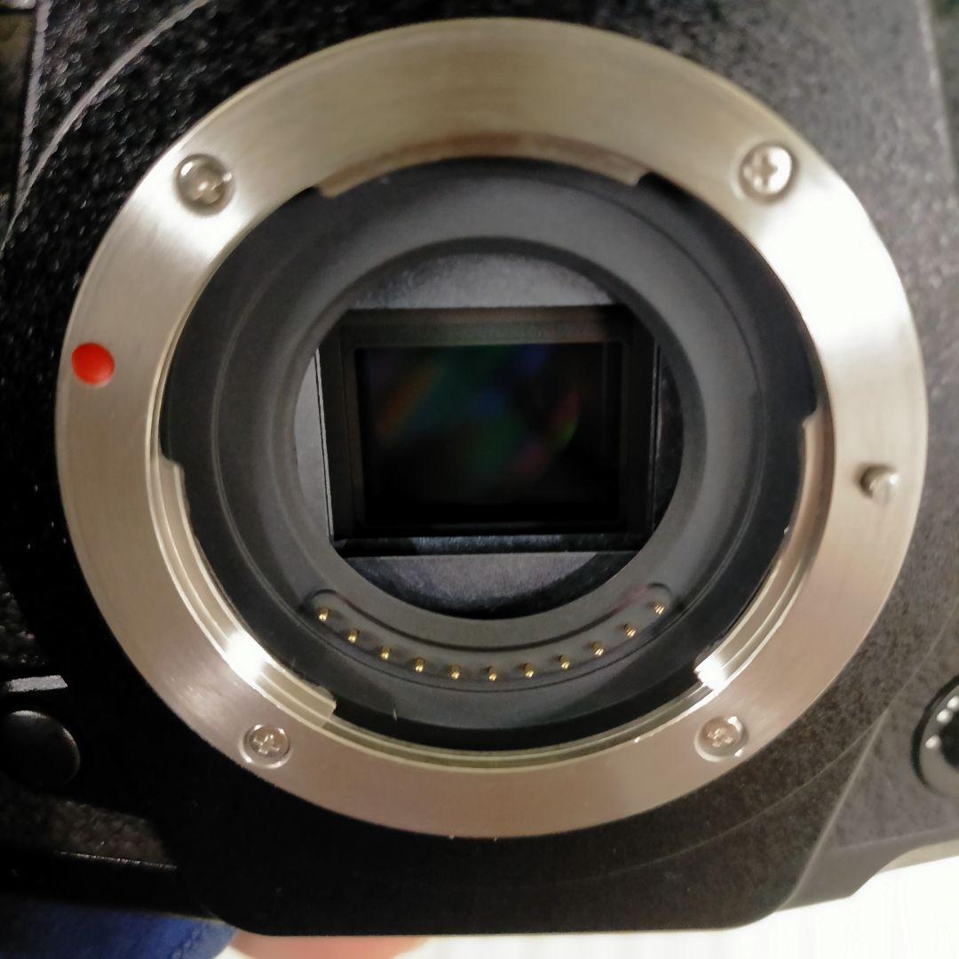 【再掲】ミラーレス一眼 LUMIX G9 PRO 本体のみ