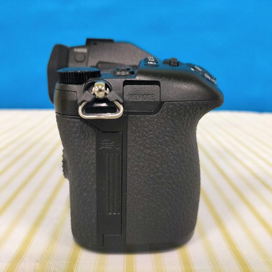 【再掲】ミラーレス一眼 LUMIX G9 PRO 本体のみ