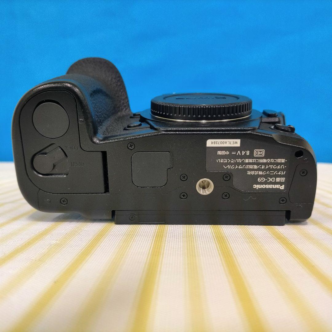 【再掲】ミラーレス一眼 LUMIX G9 PRO 本体のみ
