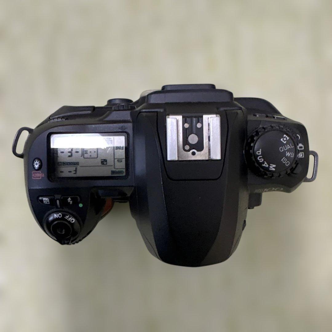 Nikon D100 デジタル一眼レフカメラ 本体+付属品