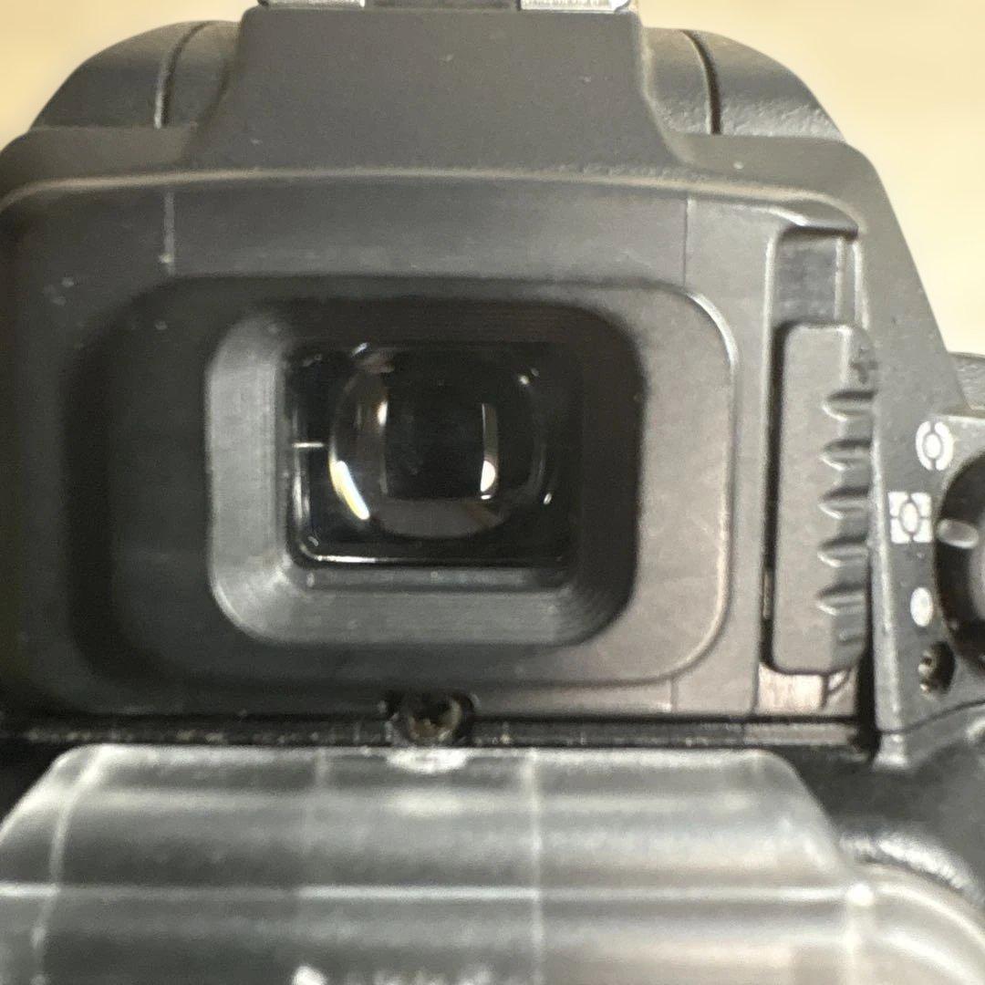 Nikon D100 デジタル一眼レフカメラ 本体+付属品
