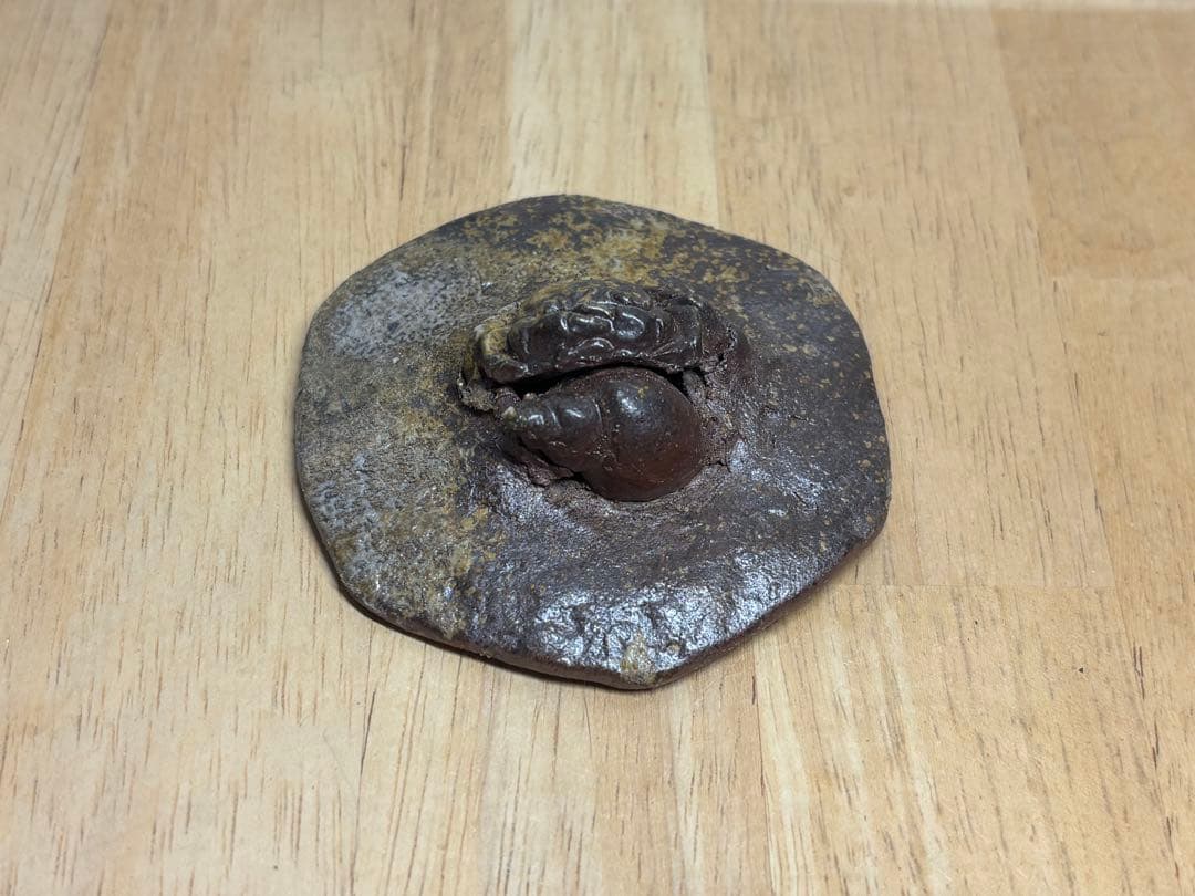 127. 備前焼 宝瓶 登り窯 カニと貝(タニシ) 6角 手びねり 急須