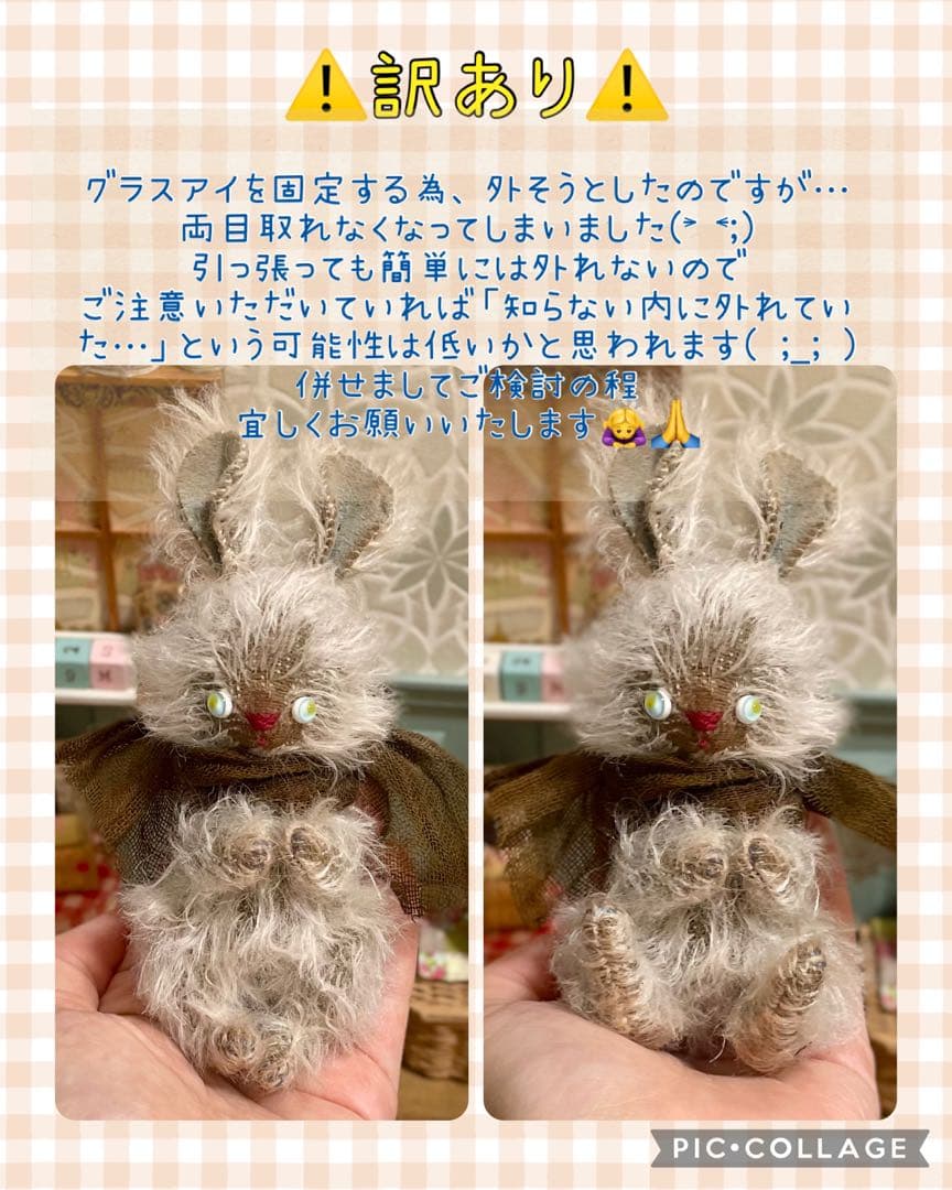 訳あり＊fluffyteddy【No.41】
