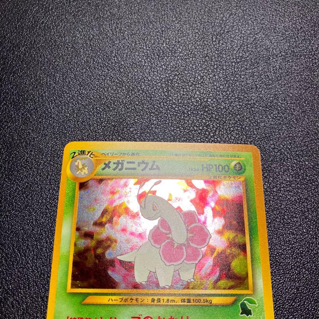 メガニウム　旧裏　ポケモンカード　イントロパック　チコリータマーク