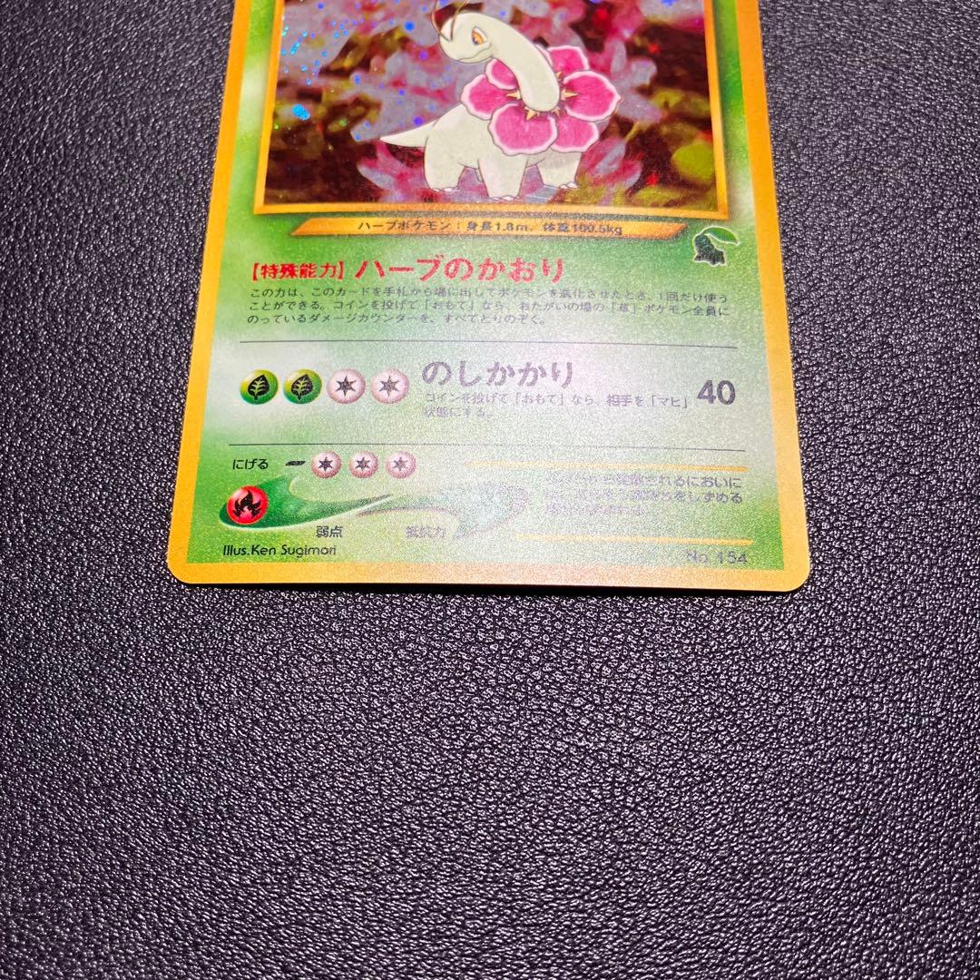 メガニウム　旧裏　ポケモンカード　イントロパック　チコリータマーク