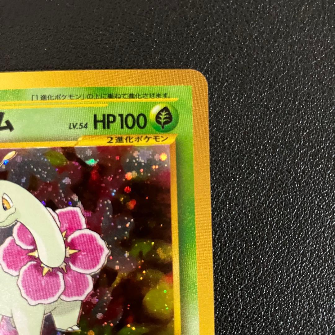 メガニウム　旧裏　ポケモンカード　イントロパック　チコリータマーク