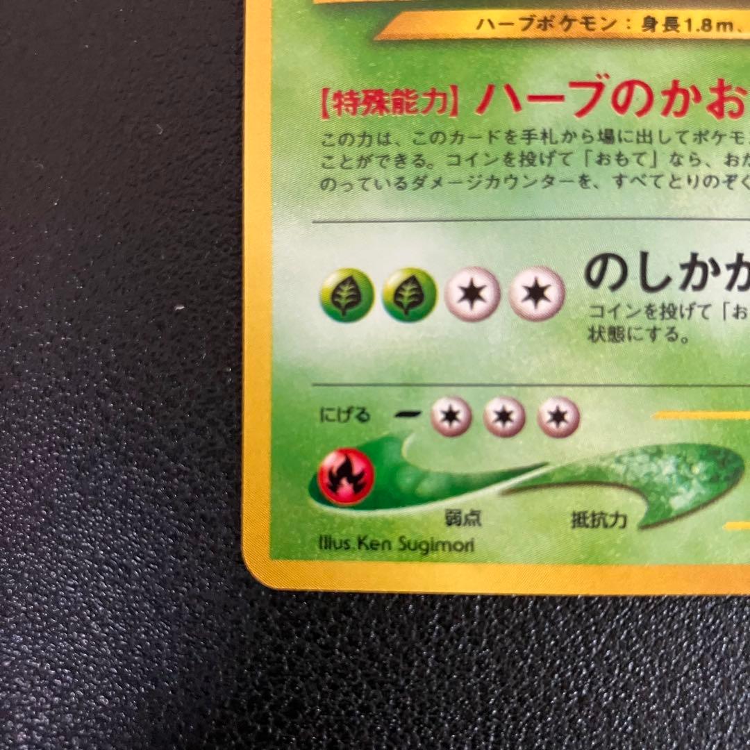 メガニウム　旧裏　ポケモンカード　イントロパック　チコリータマーク