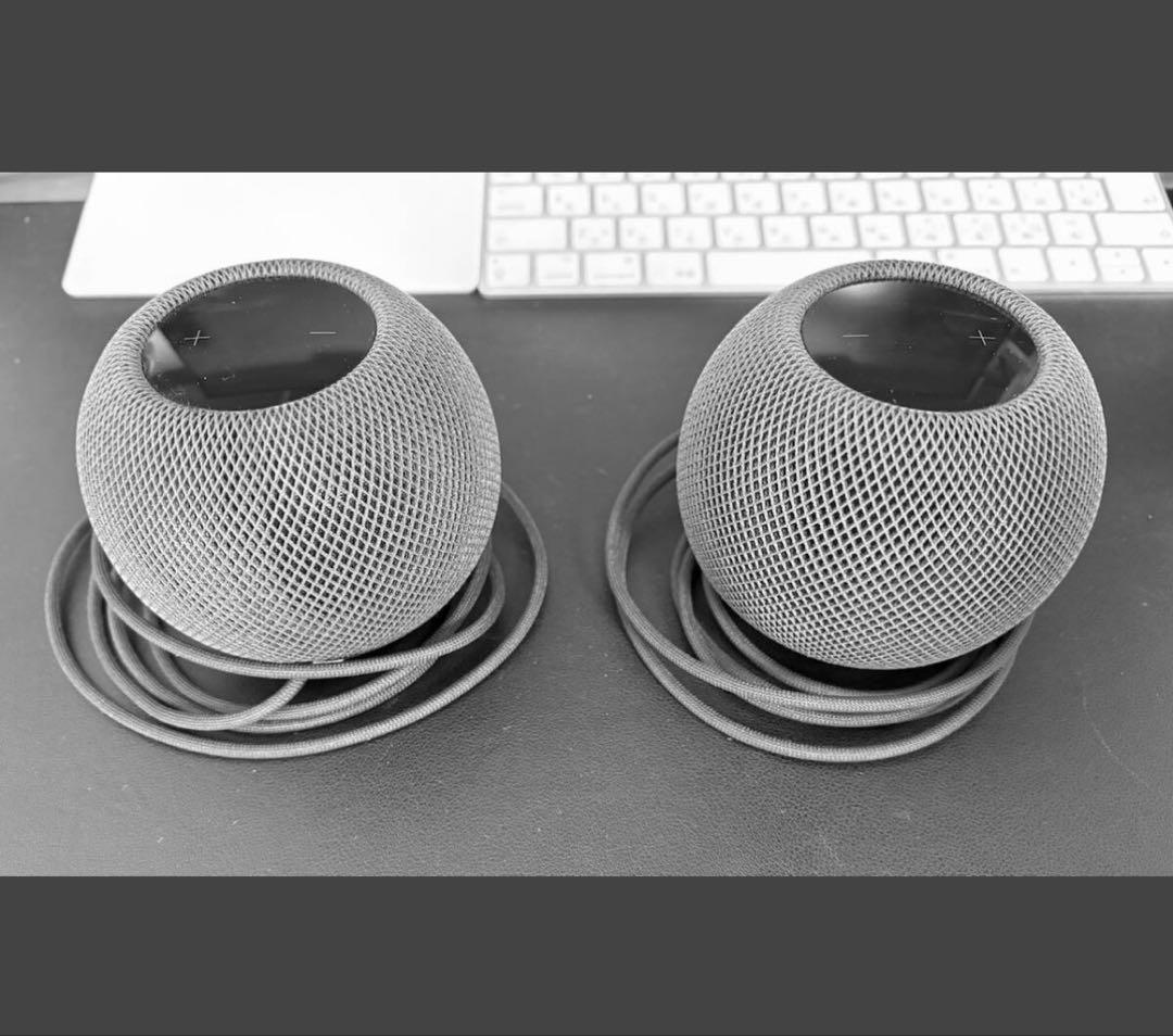 【美品】Apple Pod mini スペースグレイ （ペア）