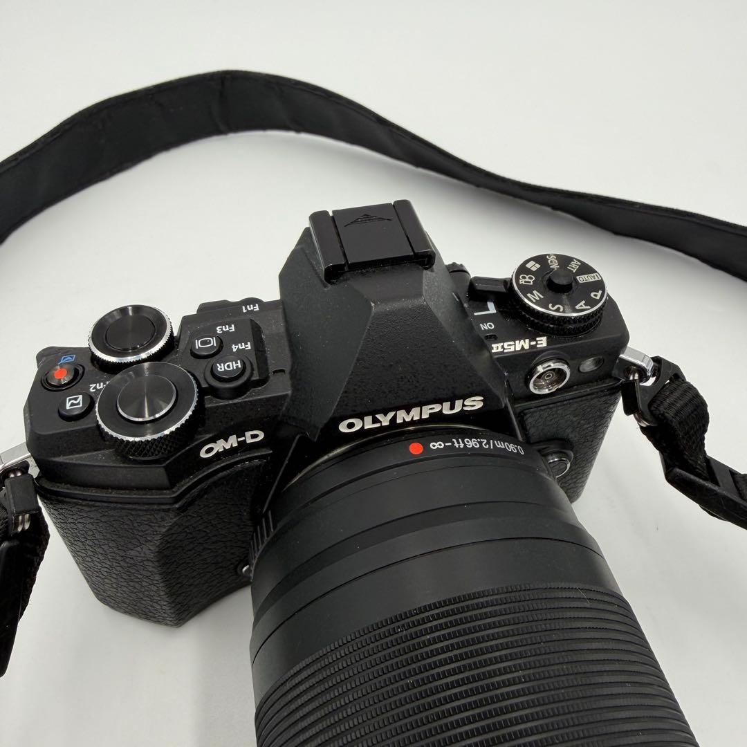 OM-D E-M5 Mark II＋超望遠レンズ 75-300mm+HLD-8