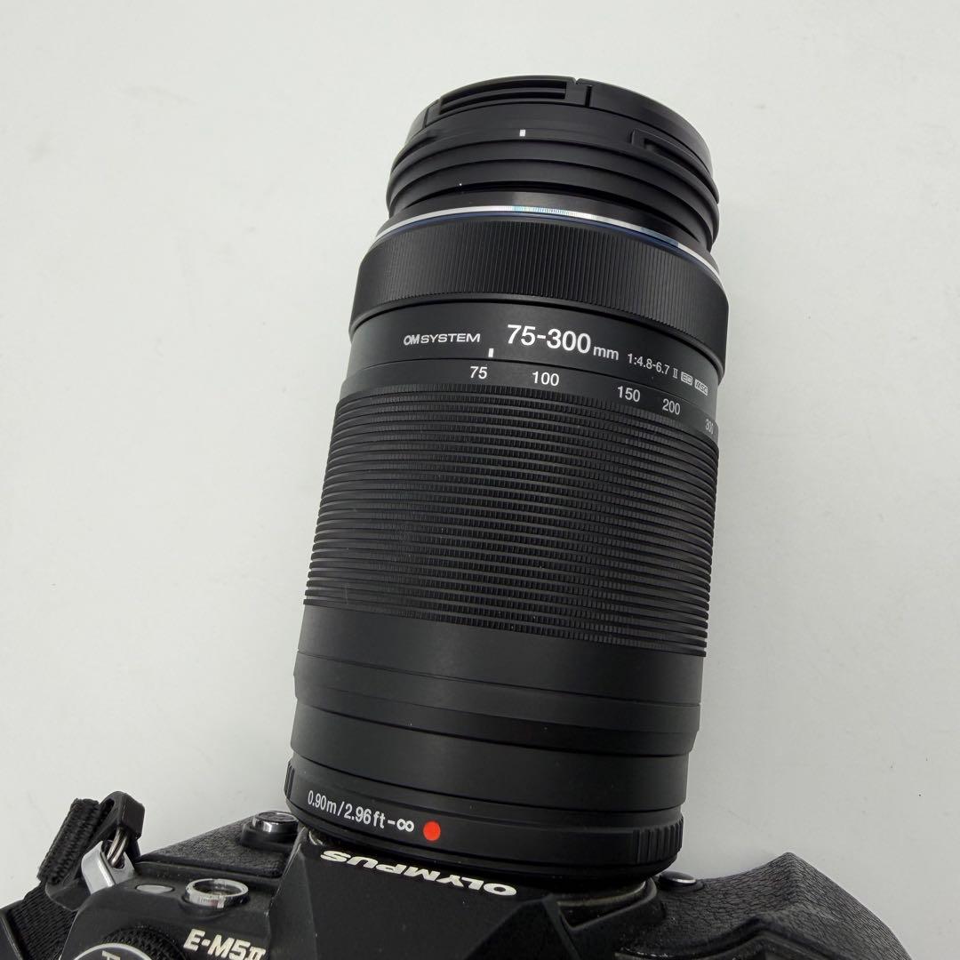 OM-D E-M5 Mark II＋超望遠レンズ 75-300mm+HLD-8