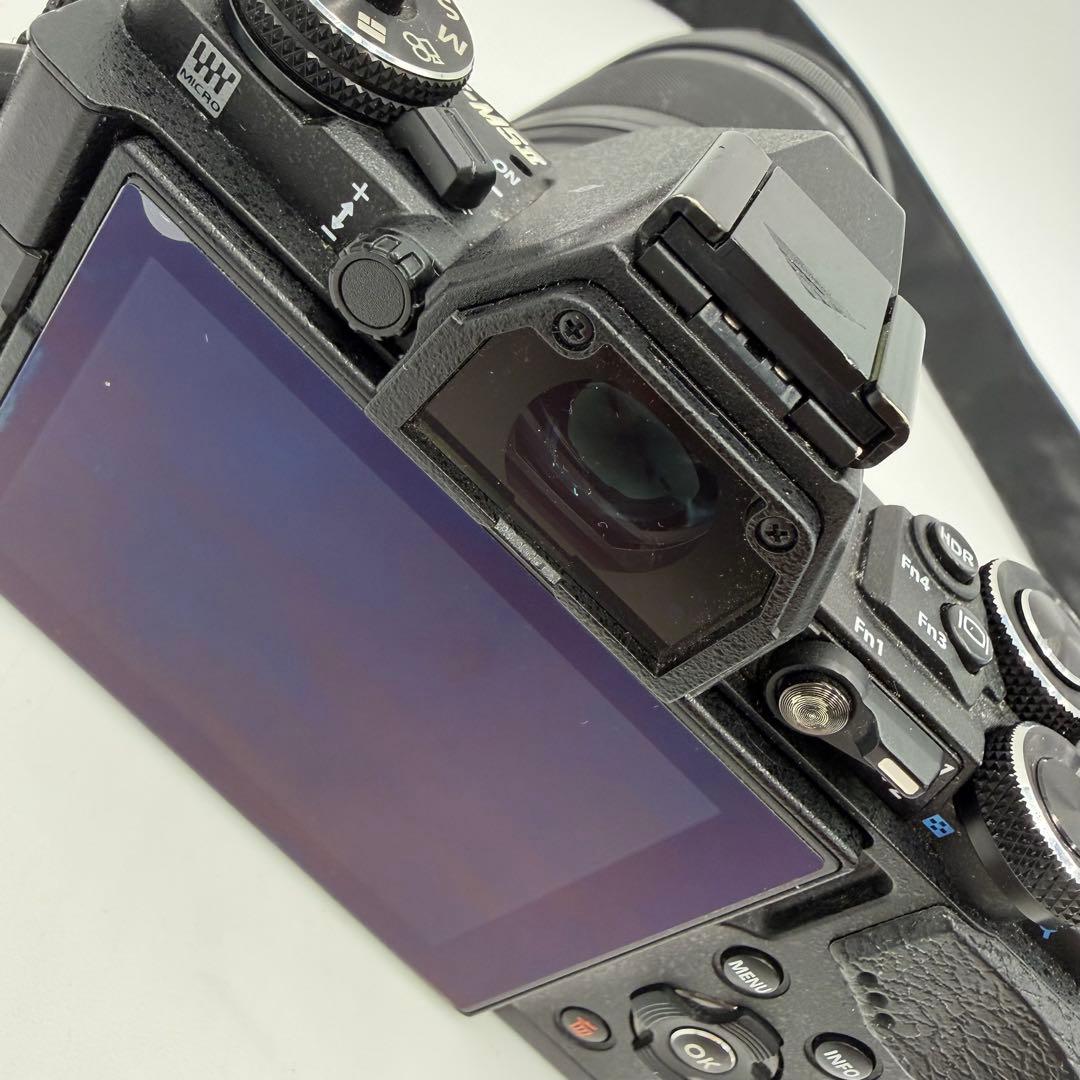 OM-D E-M5 Mark II＋超望遠レンズ 75-300mm+HLD-8