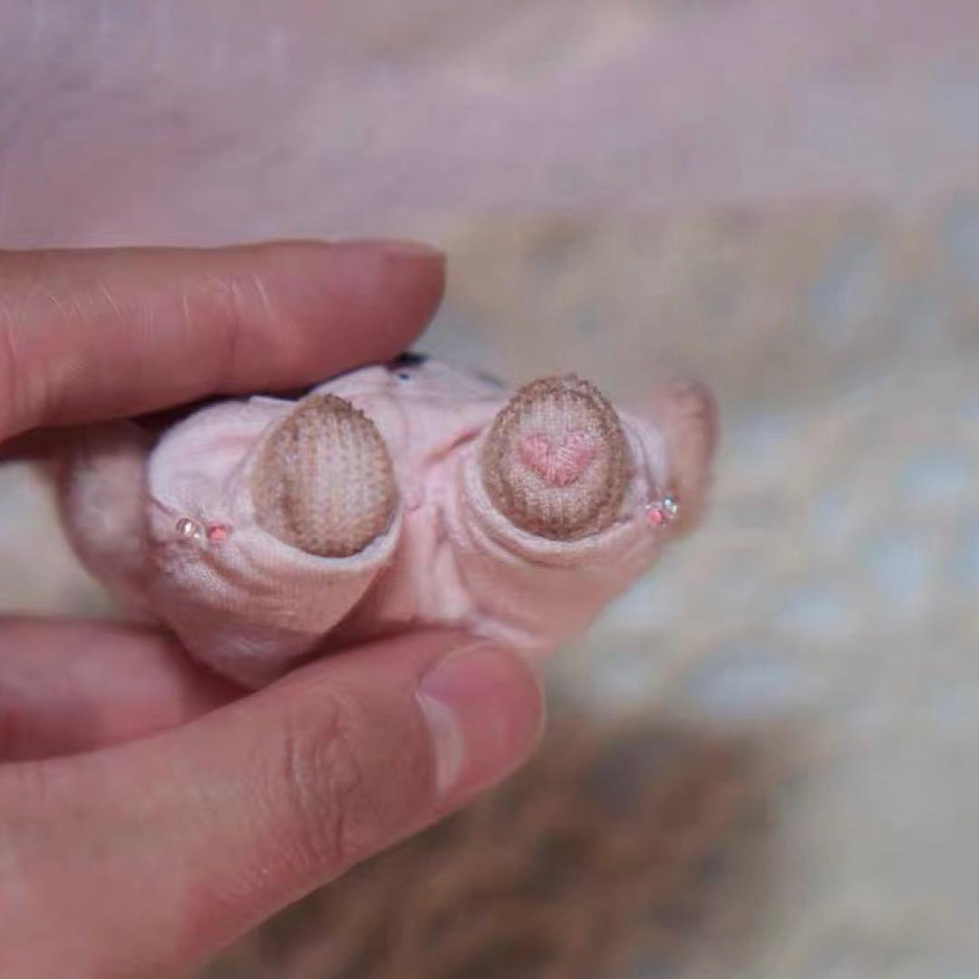 足裏もかわいい仔熊 アーティストベア テディベア ミニチュア 海外作家様