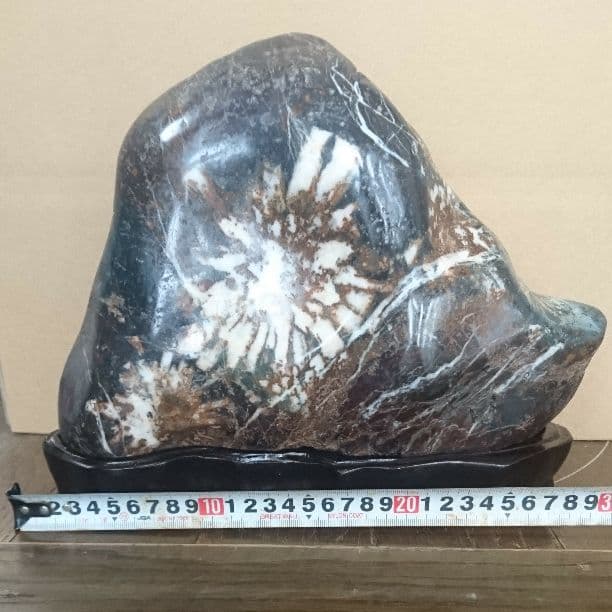 菊花石7.3キロ 庭石 鑑賞石 盆栽 置物 オブジェ 原石