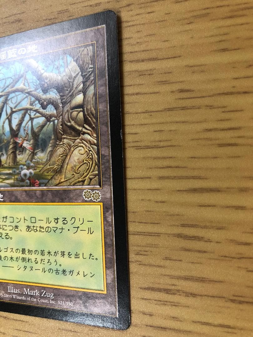 ガイアの揺籃の地/Gaea's Cradle 日本語版1枚 USG MTG