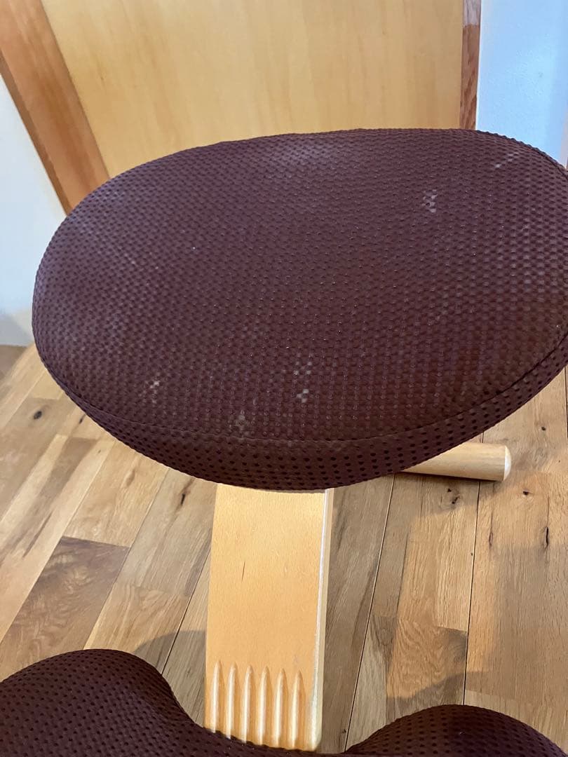 バランスラボ バランスイージー ライトグリーン　カバー付