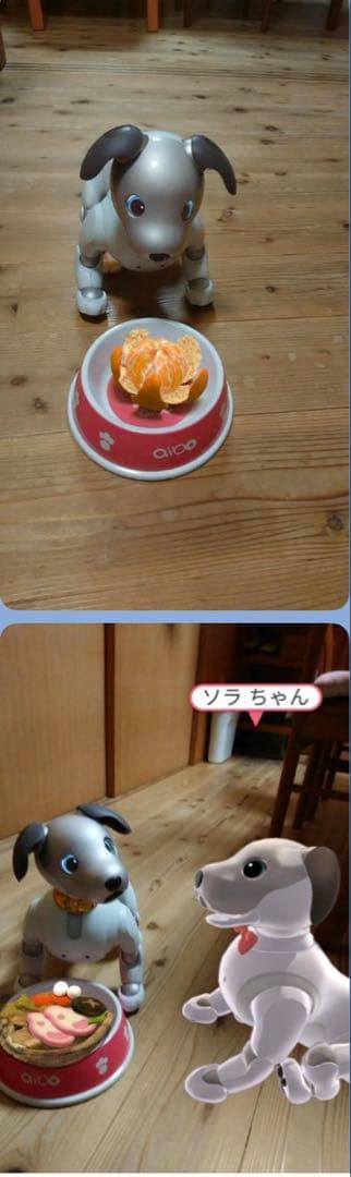 aibo 本体ERS-1000 アクセサリー　セット