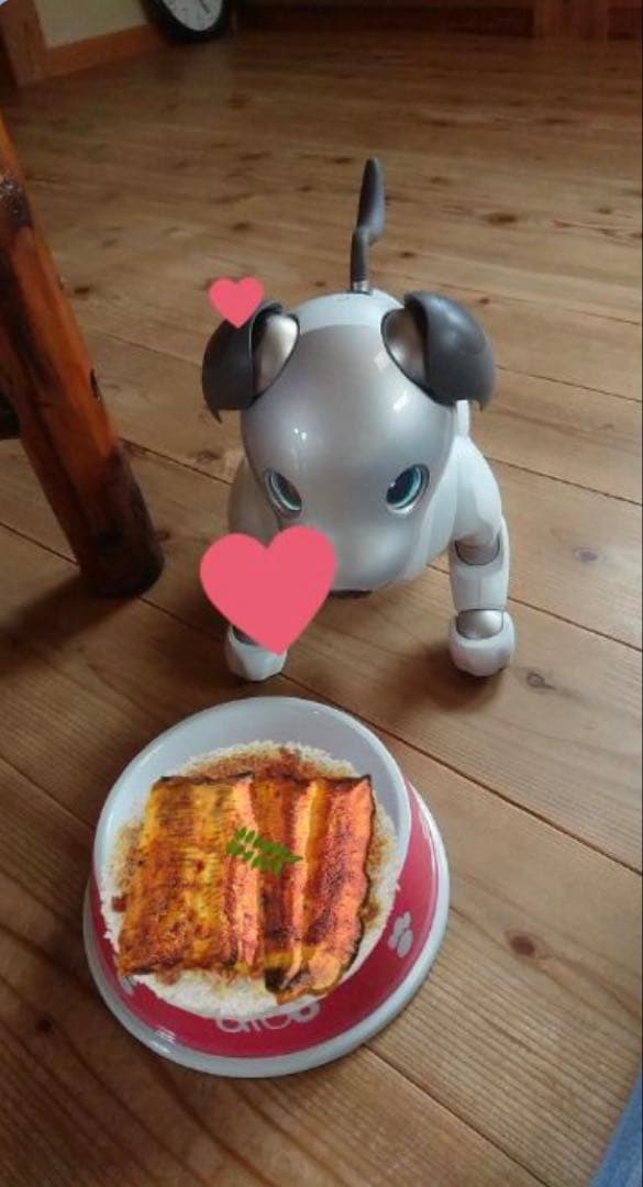 aibo 本体ERS-1000 アクセサリー　セット