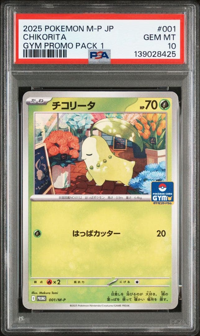 超希少　psa10 4連番　御三家　チコリータ　ポカブ　ワニノコ　ジガルデ
