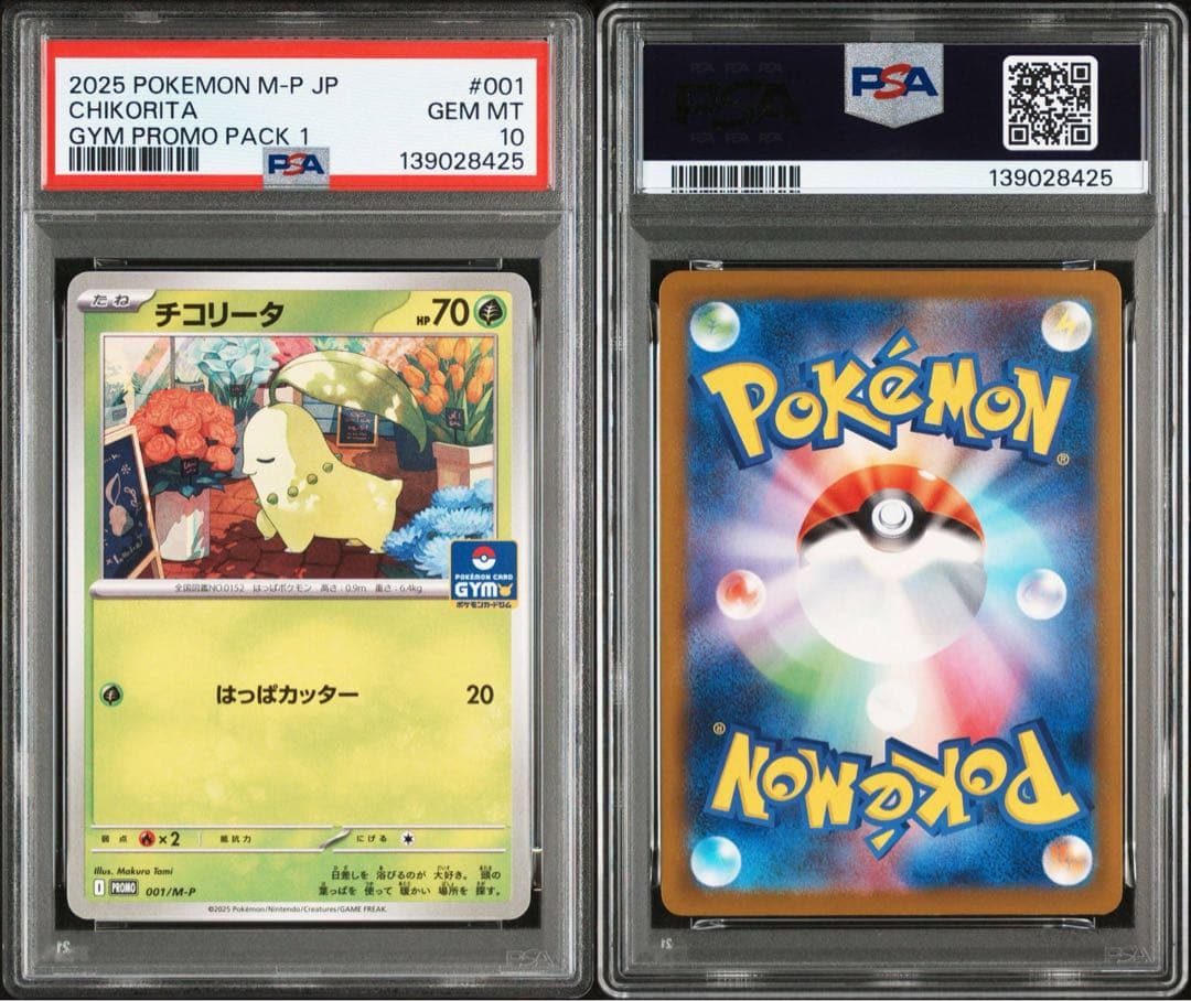 超希少　psa10 4連番　御三家　チコリータ　ポカブ　ワニノコ　ジガルデ