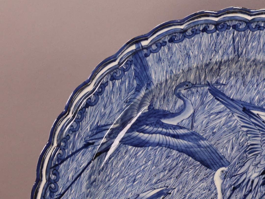 BK266　江戸期　古伊万里　大明成化年製銘　古染付郡鷺文様　大皿　1尺7寸