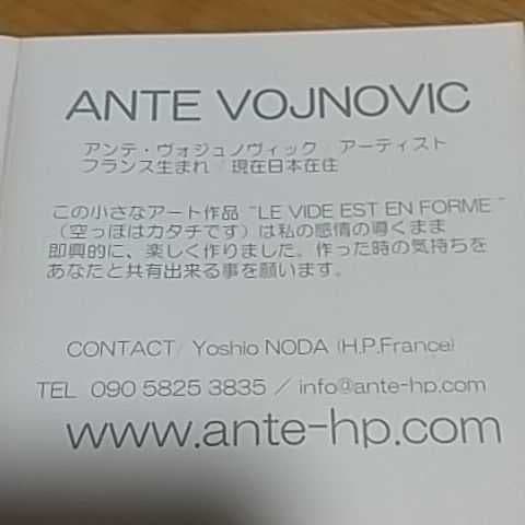 アンテ ヴォジュノヴィックのアート作品