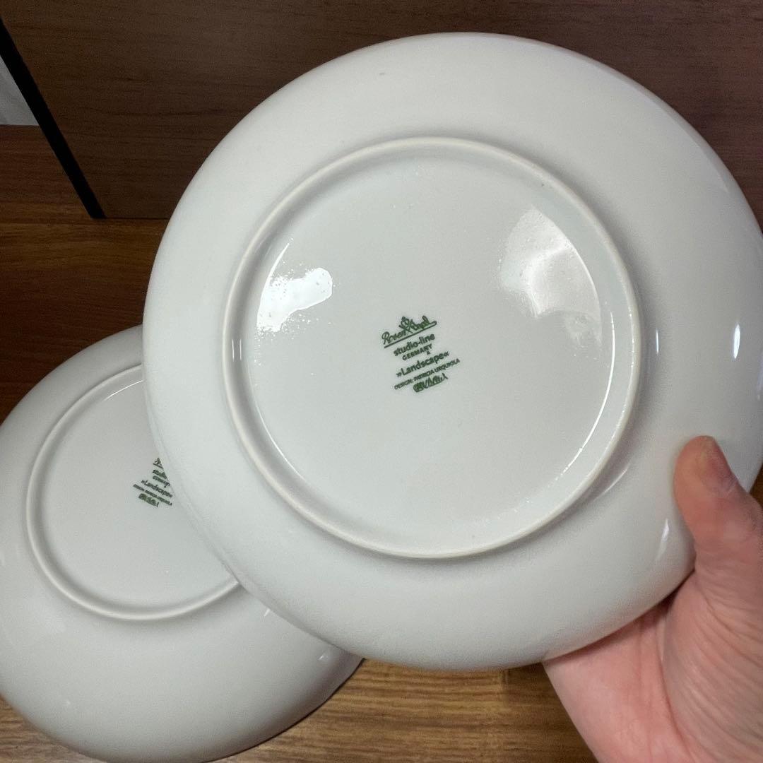 Rosenthal ローゼンタール Landscape ディーププレートセット