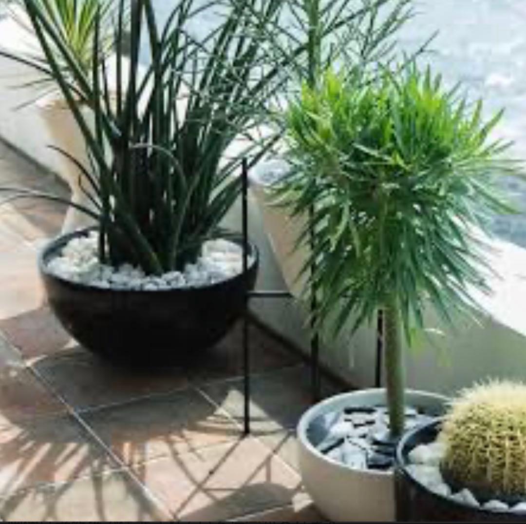 ARCHITECTURAL POTTERY①