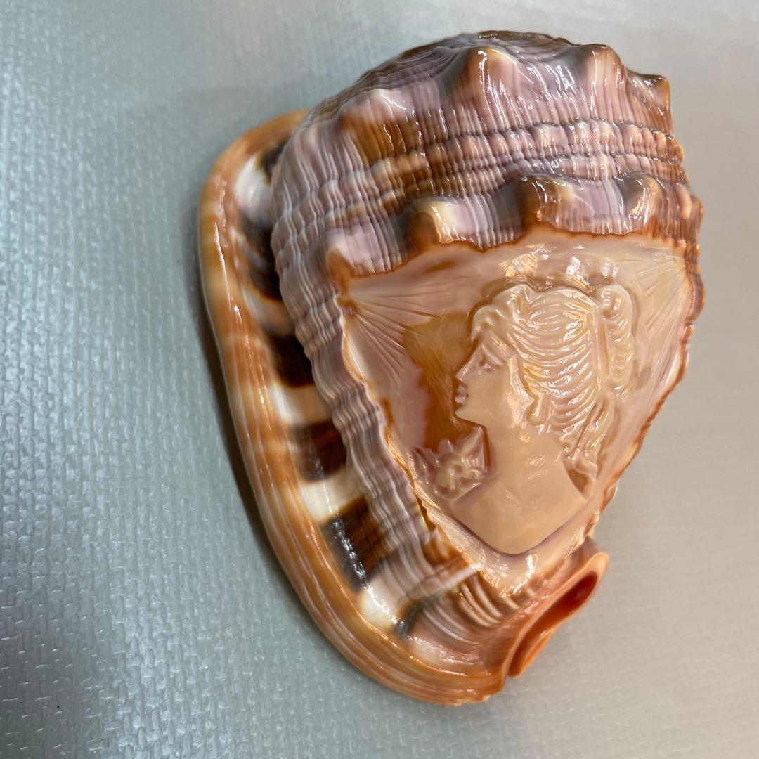 貝殻彫刻 女性の肖像　シェル　カメオ　10.5センチ
