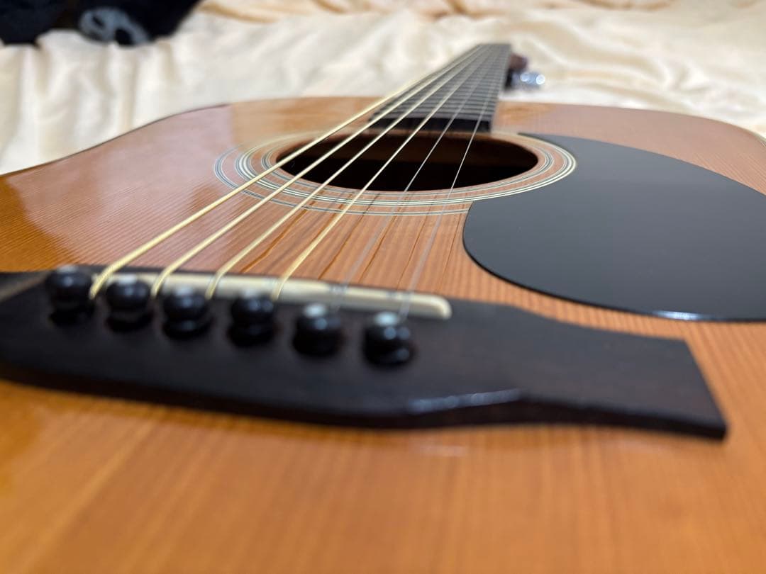 Epiphone epi D-12 DX アコースティックギター