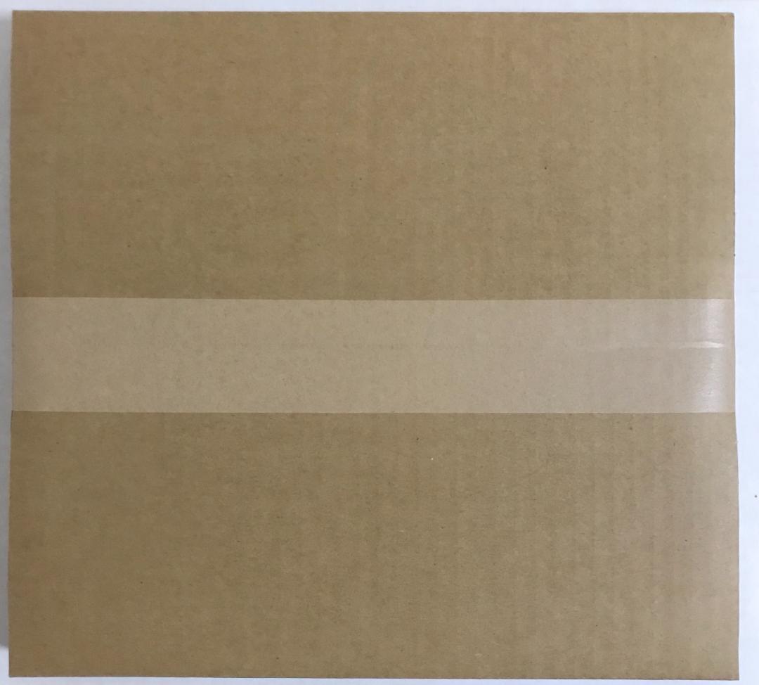 佐藤輝明【限定】BBM ルーキー 直筆サイン 甲子園初本塁打記念 フォトファイル