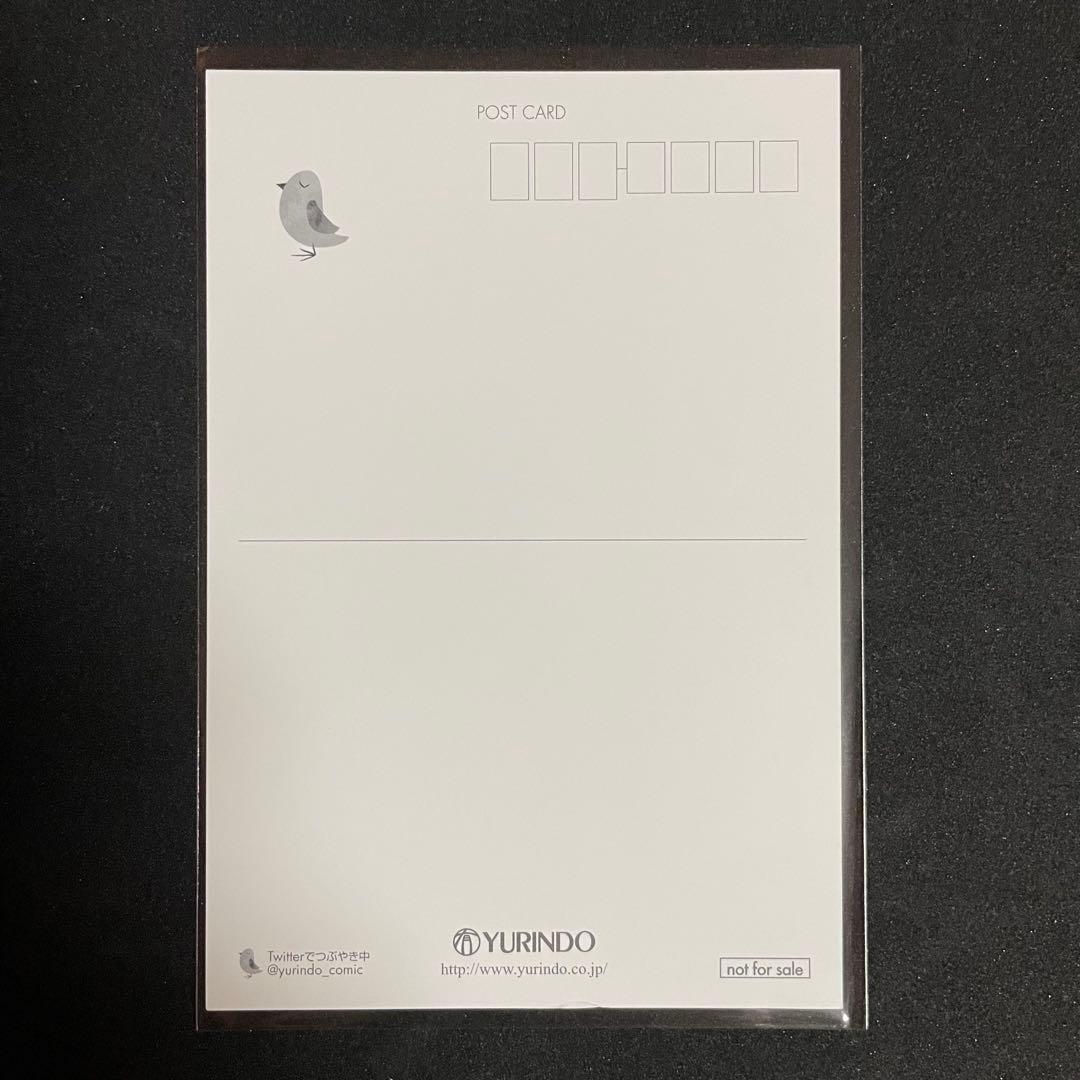 聖闘士星矢 セインティア翔【10巻】有隣堂特典 ポストカード 非売品 久織ちまき