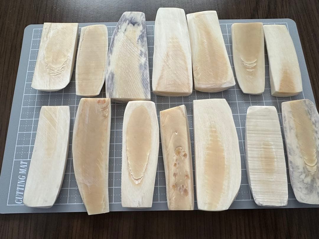 まっこう鯨 歯縦切りカット材