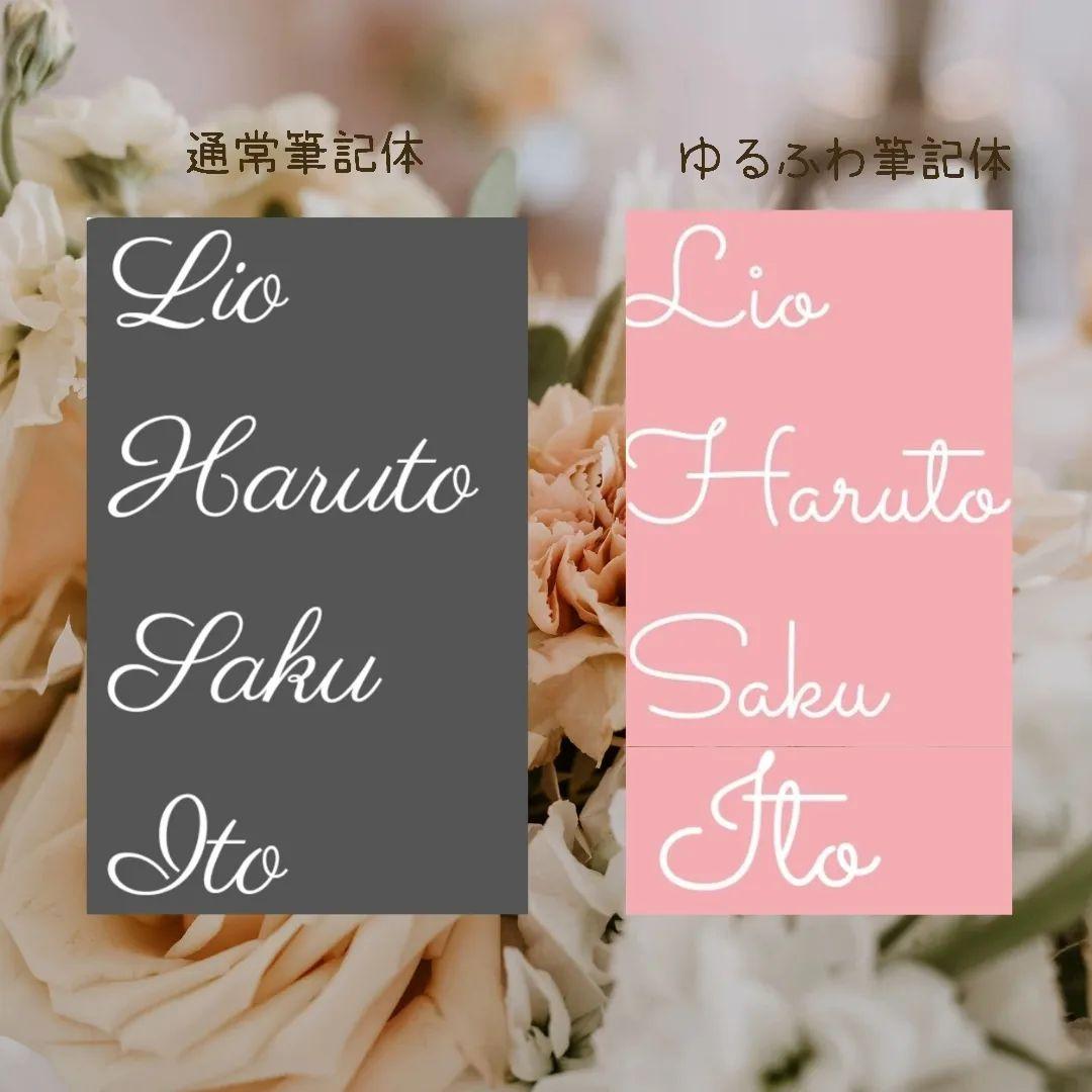 もくもくスタイ【名いれ】オーダーページ　800円