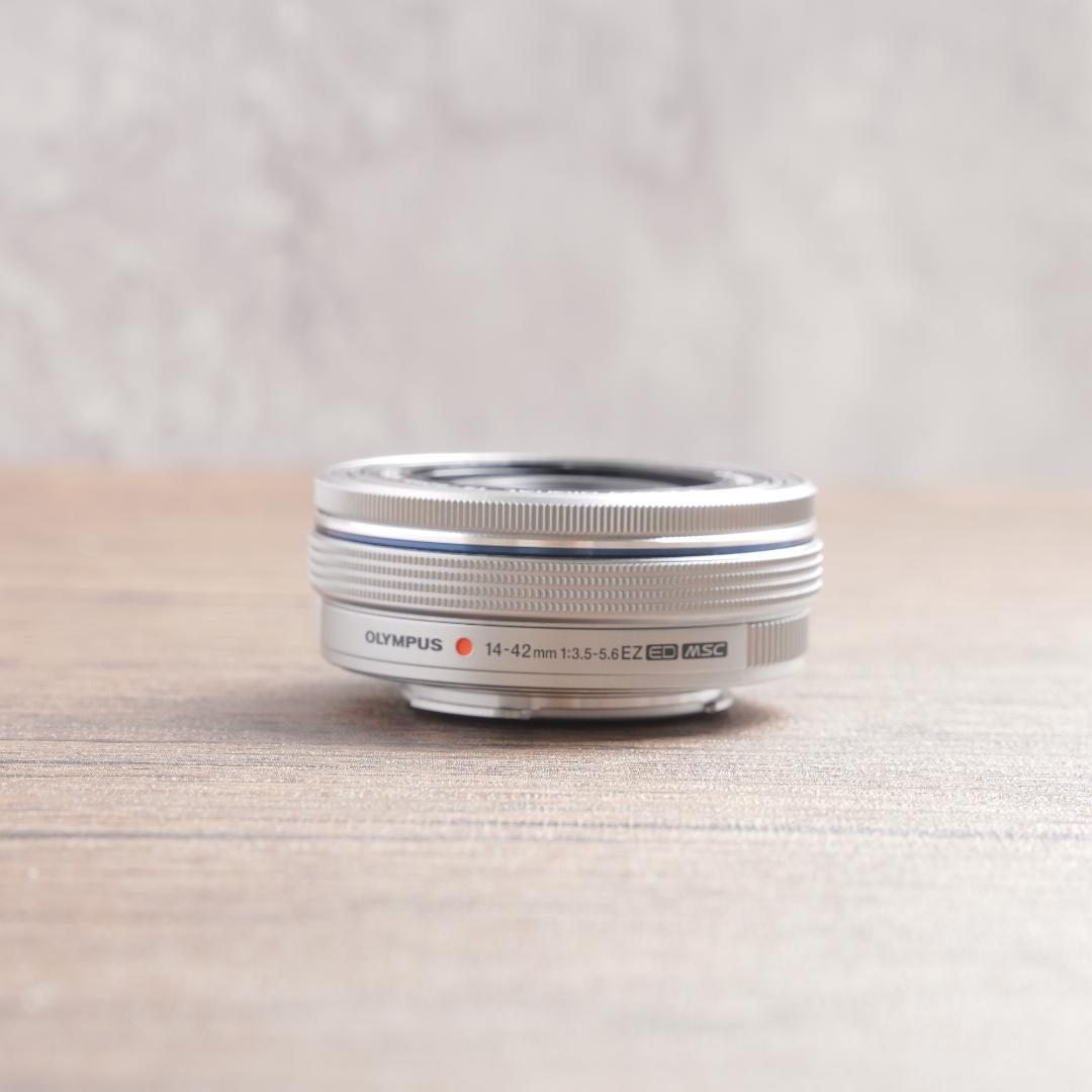 ショット数974回で美品✨自撮り✨OLYMPUS PEN E-PL9　978-1