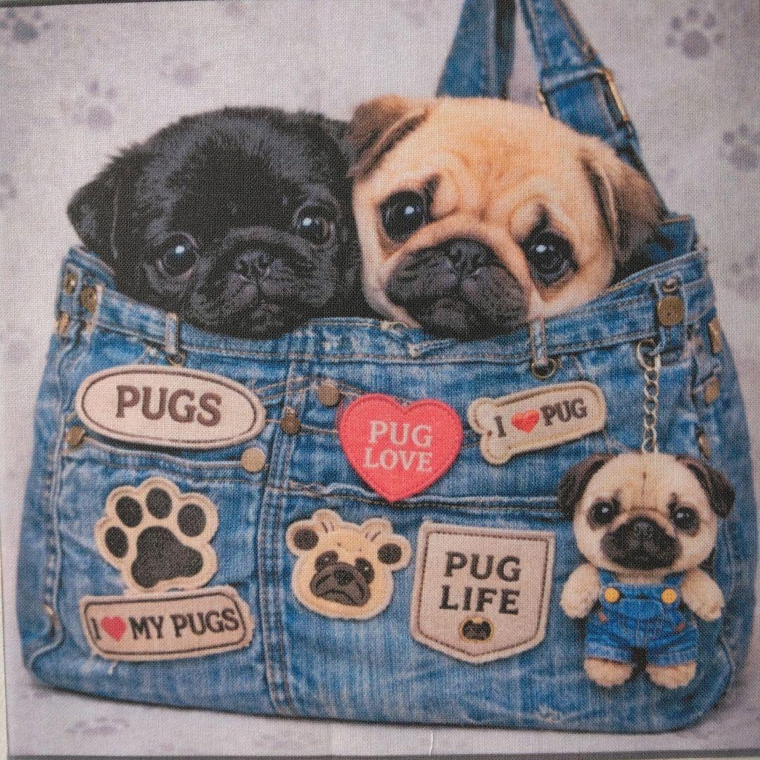 ☆受付☆パグ・フレンチブル