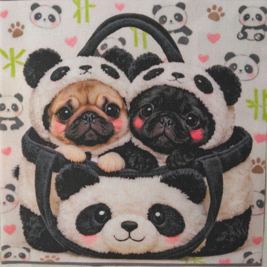 ☆受付☆パグ・フレンチブル