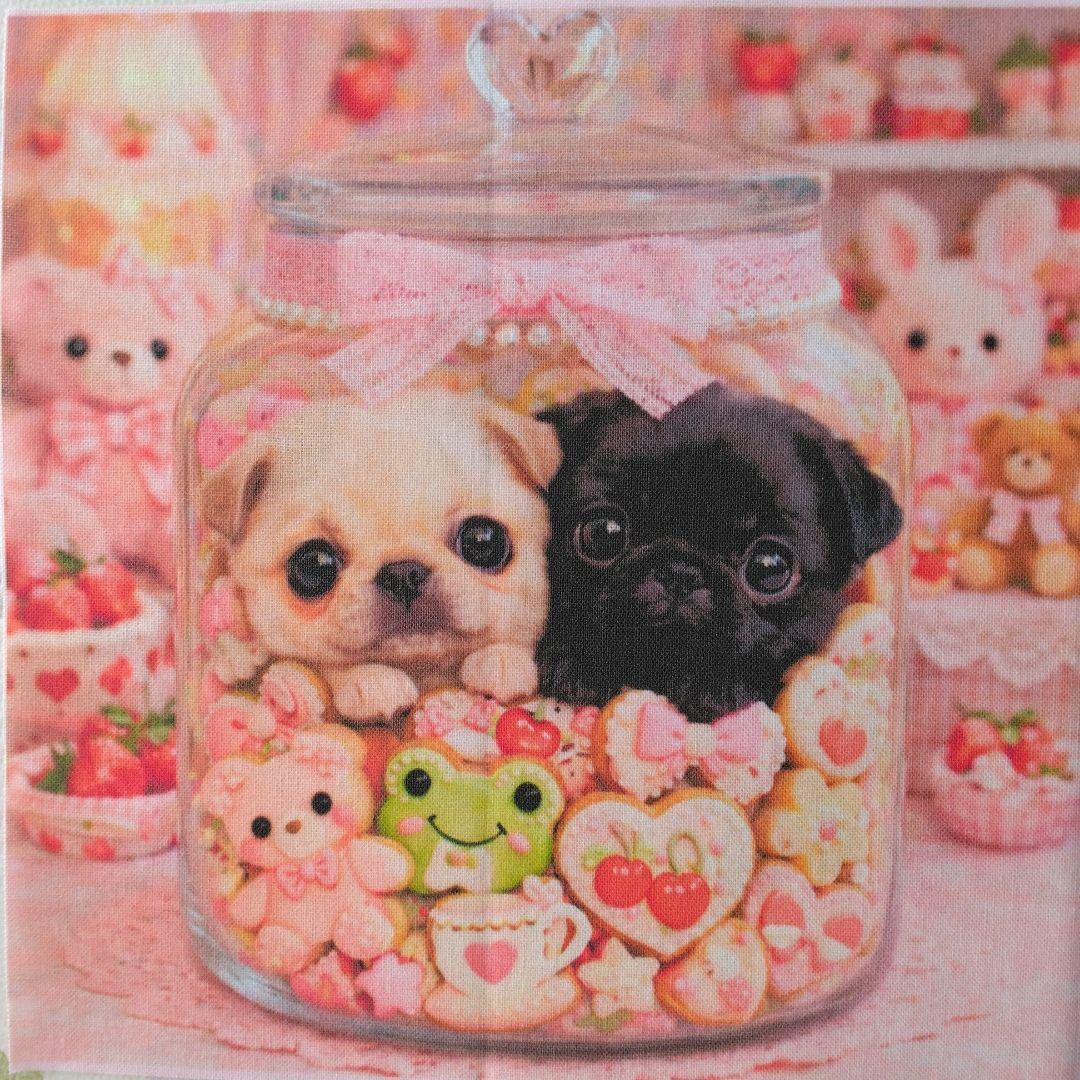 ☆受付☆パグ・フレンチブル