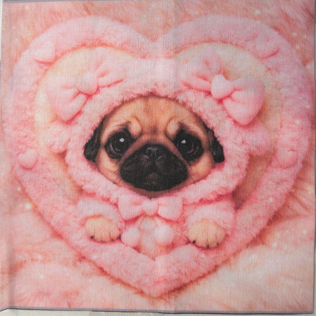 ☆受付☆パグ・フレンチブル