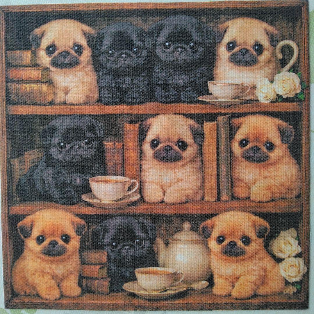 ☆受付☆パグ・フレンチブル