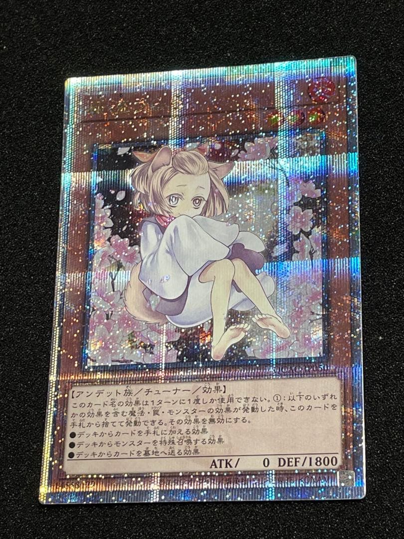 灰流うらら　25th クオシク　絵違い　遊戯王　日版　QCAC-JP050