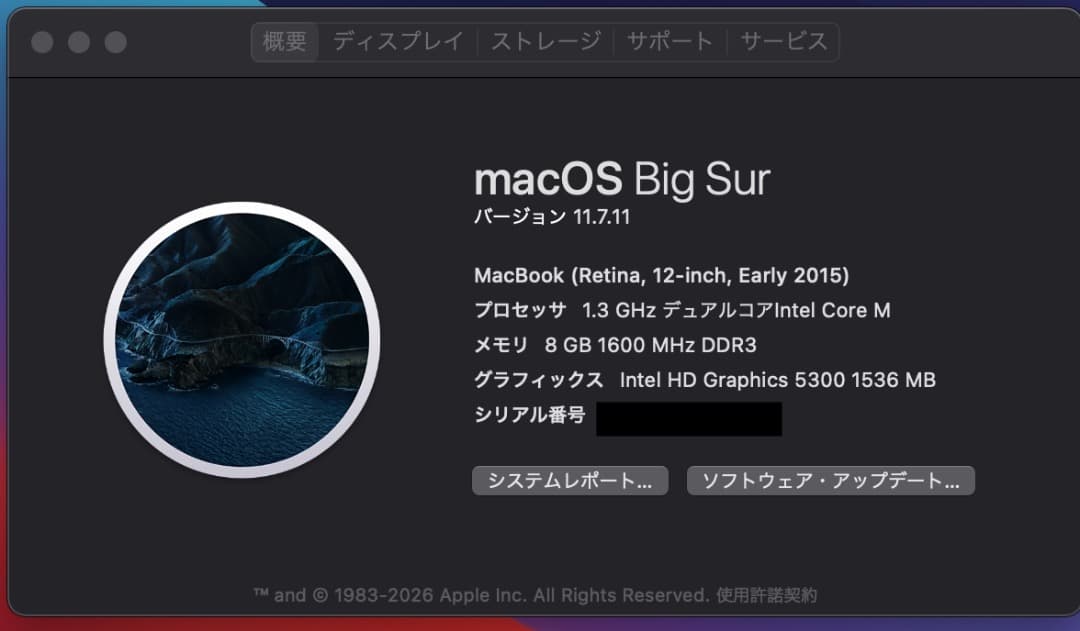 Apple MacBook (Retina,12インチ,Early 2015)
