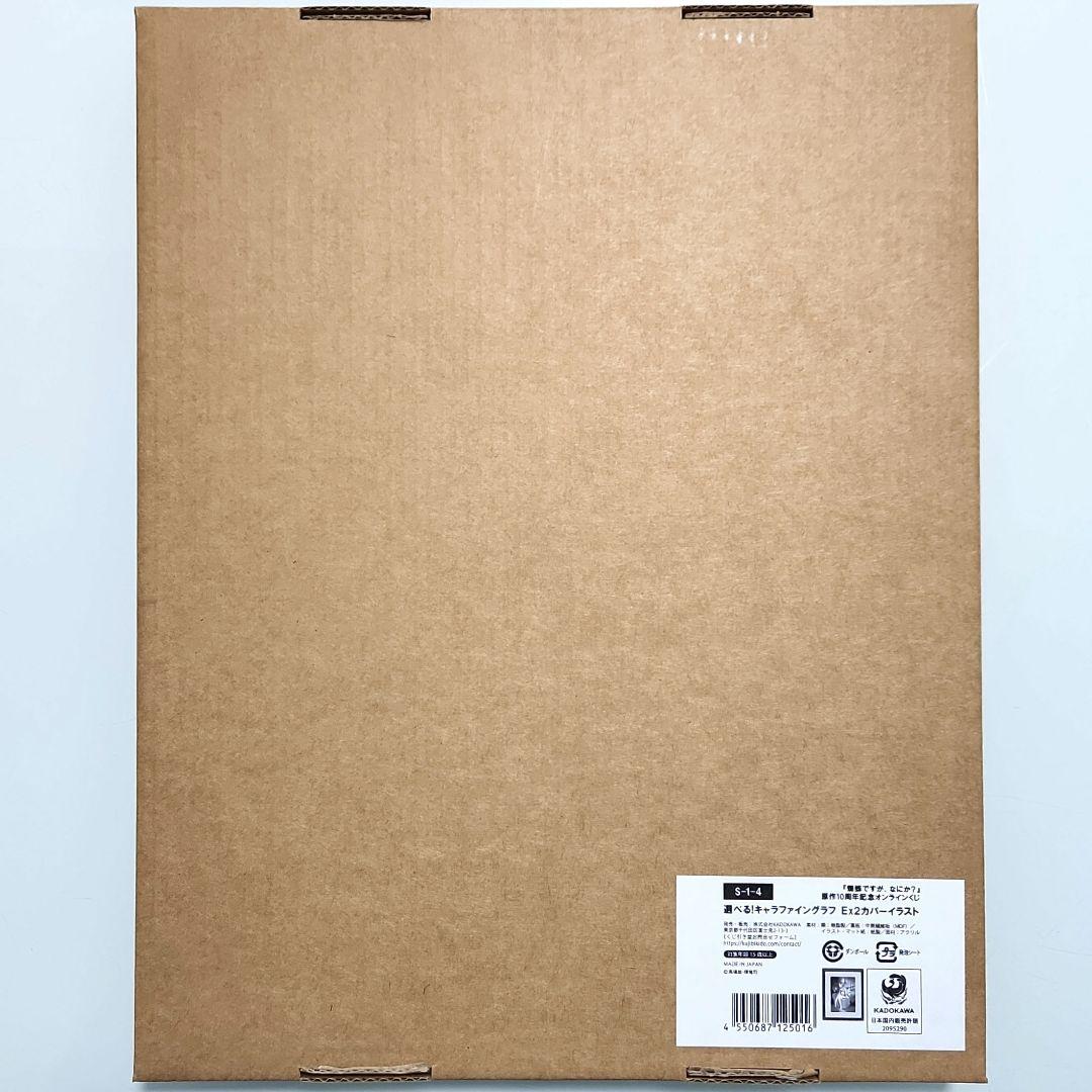 蜘蛛ですが、なにか？ 原作10周年記念オンラインくじ S賞 Ｅｘ２カバーイラスト