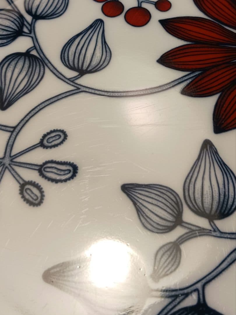 ③ルノ フロストベリー オーバール プレート 25㎝ 2枚セット