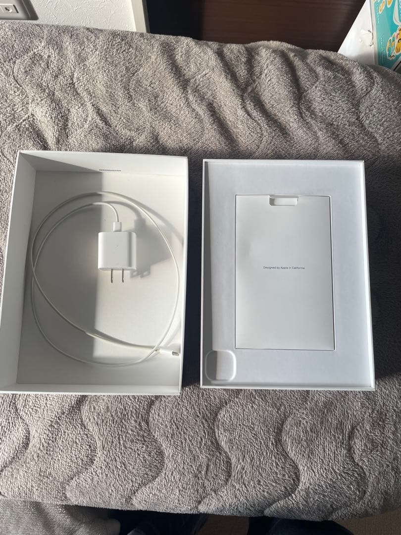 iPad Pro 11インチ 第二世代スペースグレー 本体