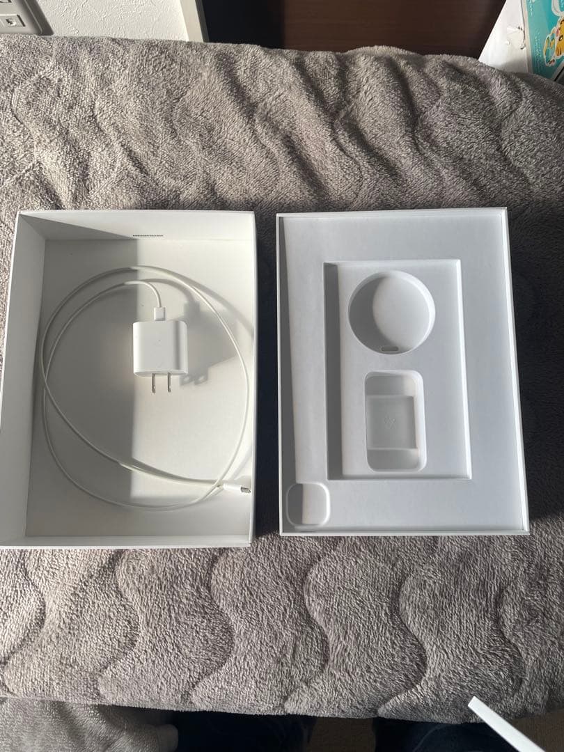 iPad Pro 11インチ 第二世代スペースグレー 本体