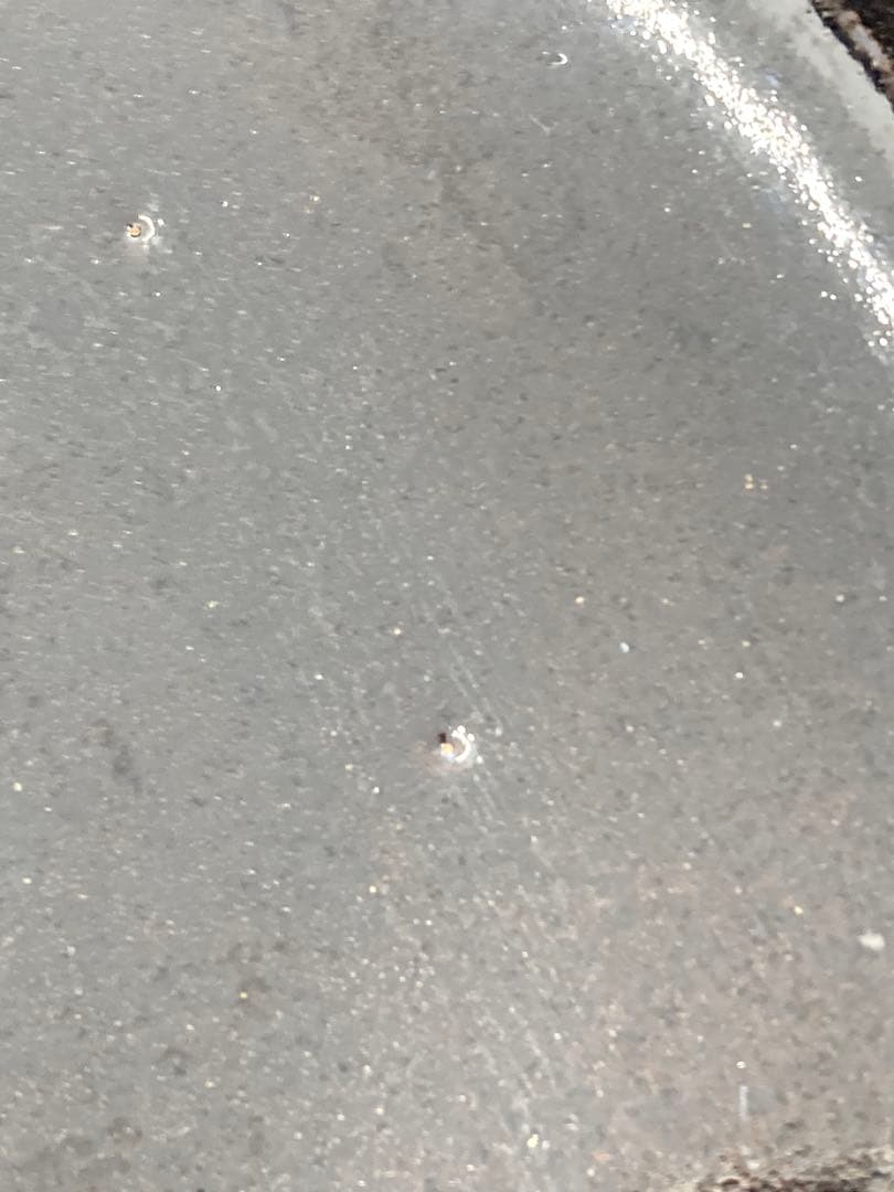 値下げ！未使用！鳥取民藝　中井窯　深鉢　染め分け大皿　24cm 飾り皿　牛ノ戸焼